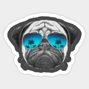 Pug Dog with sunglasses Sticker